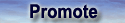 Promote and build your team